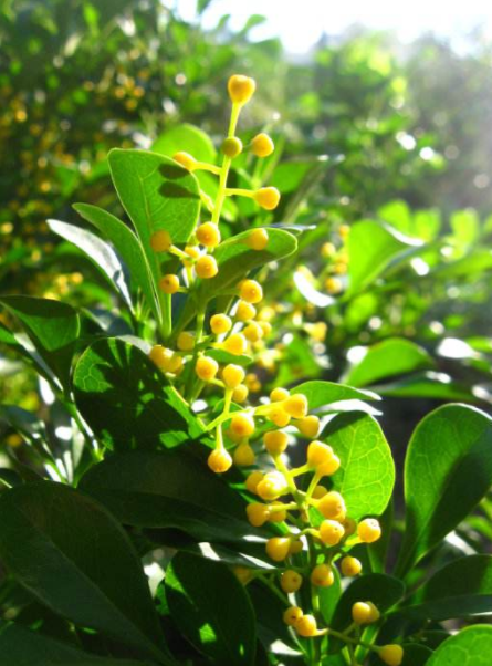 耐酸磚，盲道磚，陶瓷透水磚源頭生產(chǎn)廠家到底適不適合參加展會